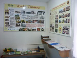 Изображение 7